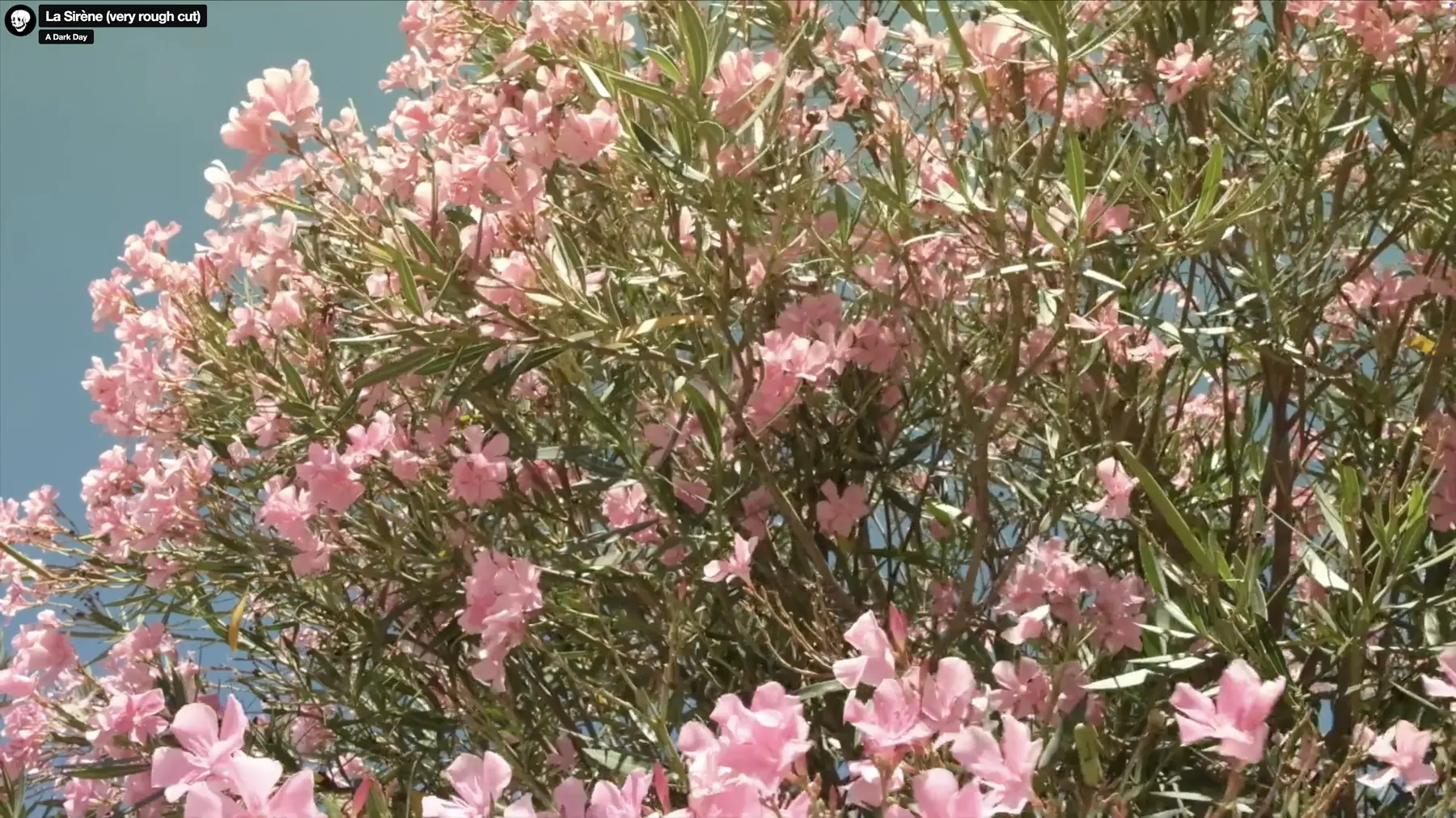 La Sirène film still — flowers